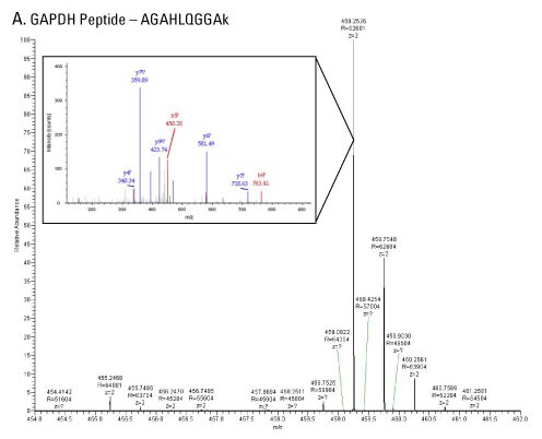 A12n12-Fig4a A12n12-Fig4a