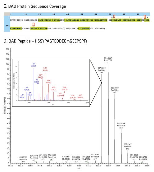 A12n12-Fig5cd A12n12-Fig5cd