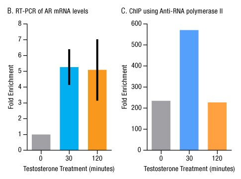 A13n23-Fig3bc A13n23-Fig3bc