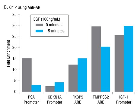 A13n23-Fig5b A13n23-Fig5b