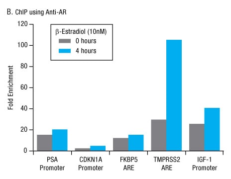 A13n23-Fig4b A13n23-Fig4b