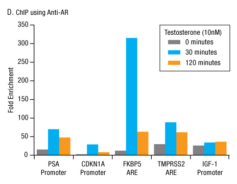 A13n23-Fig3d A13n23-Fig3d