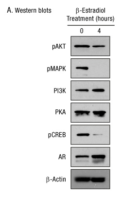 A13n23-Fig4a A13n23-Fig4a