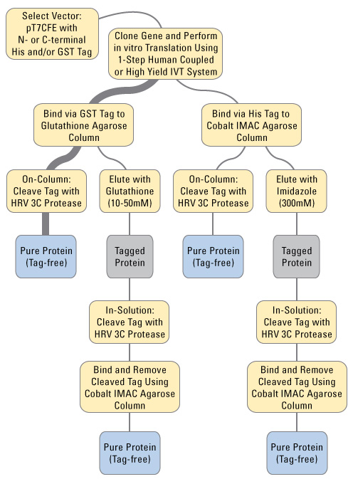 A13n09-Fig1 A13n09-Fig1