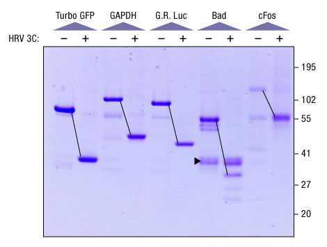 A13n09-Fig4 A13n09-Fig4