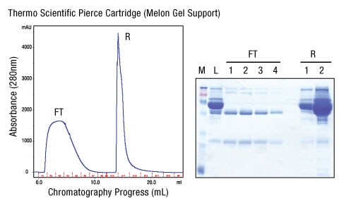 A13n04-Fig5 A13n04-Fig5