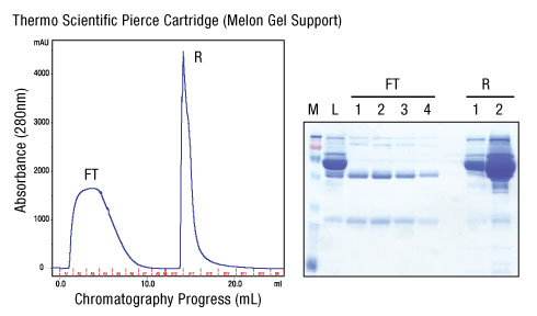 A13n04-Fig5 A13n04-Fig5