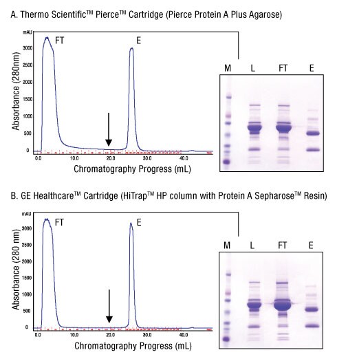 A13n04-Fig3-All A13n04-Fig3-All