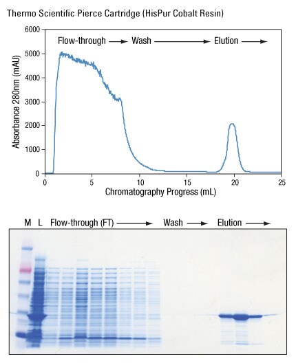 A13n04-Fig6 A13n04-Fig6
