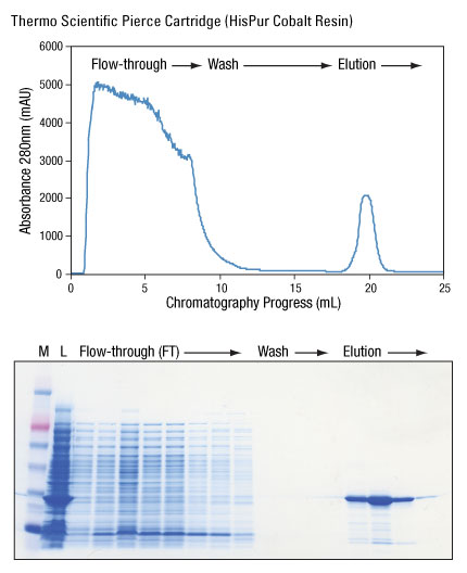 A13n04-Fig6 A13n04-Fig6