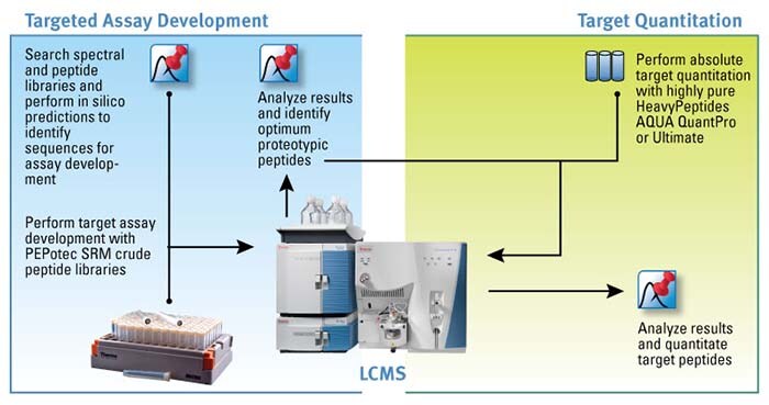 Pepotec-v15-Fig1v3-full Pepotec-v15-Fig1v3-full