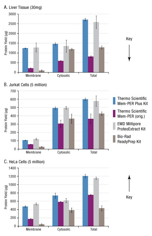 细胞质和膜蛋白组分的蛋白定量 细胞质和膜蛋白组分的蛋白定量