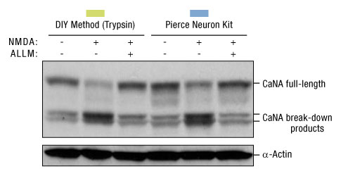 A14n06-Fig7 A14n06-Fig7