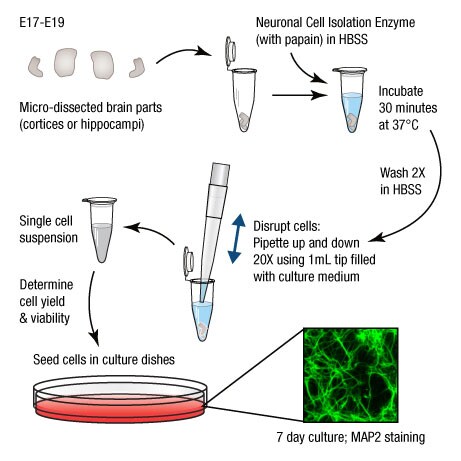 A14n06-Fig1 A14n06-Fig1