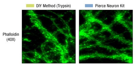 A14n06-Fig5a A14n06-Fig5a
