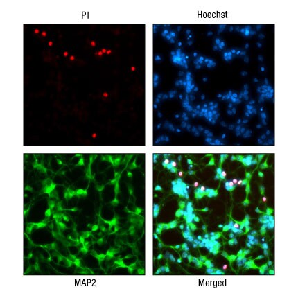 A14n06-Fig4a A14n06-Fig4a