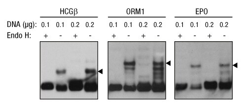 A14n02-Fig1 A14n02-Fig1