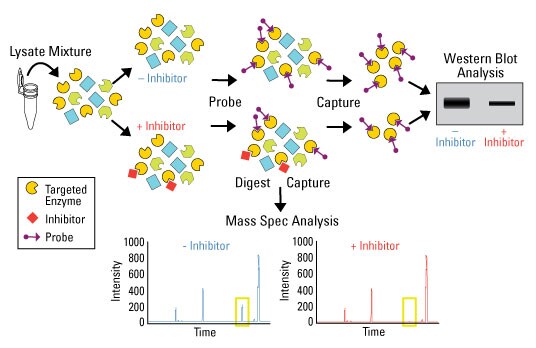 ActiveSite-workflow-Fig2 ActiveSite-workflow-Fig2