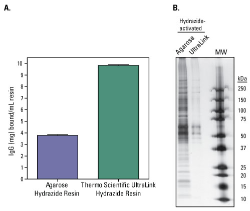 Comparison of hydrazide-activated supports. Comparison of hydrazide-activated supports.