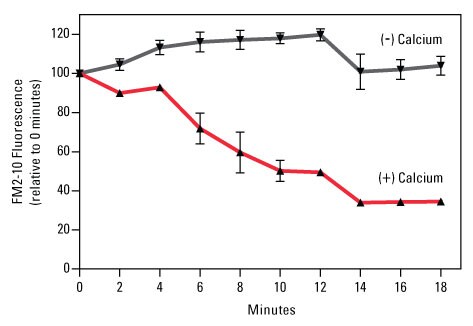 A12n03-Fig5-87793-Syn-PER A12n03-Fig5-87793-Syn-PER