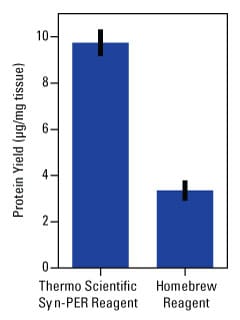 A12n03-Fig3-87793-Syn-PER A12n03-Fig3-87793-Syn-PER