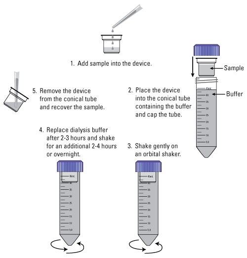 88404-v15-Fig1b-SAL-MINI 88404-v15-Fig1b-SAL-MINI