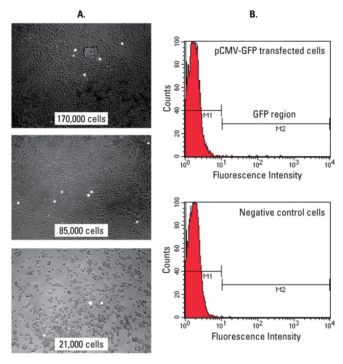 A12n05-Fig1 A12n05-Fig1