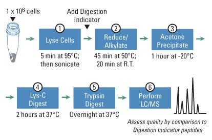A13n12-Fig1-MS-Sample-Prep-rxn A13n12-Fig1-MS-Sample-Prep-rxn