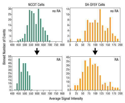 A13n02-Fig3 A13n02-Fig3