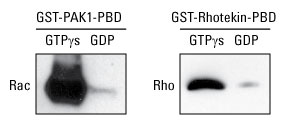 A12n02-Fig3-87792-N-PER A12n02-Fig3-87792-N-PER