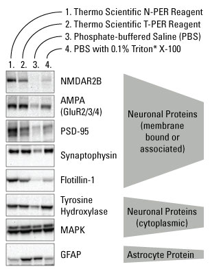 A12n02-Fig2-87792-N-PER A12n02-Fig2-87792-N-PER