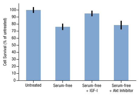 A14n09-Fig6A A14n09-Fig6A