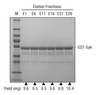 A13n15-Fig4b-GSH-Superflow-reuse A13n15-Fig4b-GSH-Superflow-reuse