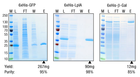 A13n07-Fig1-Co-Superflow-purity A13n07-Fig1-Co-Superflow-purity