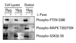 A12n14-Fig2 A12n14-Fig2