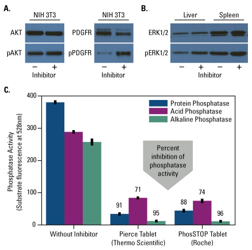 A12n04-Fig3 A12n04-Fig3