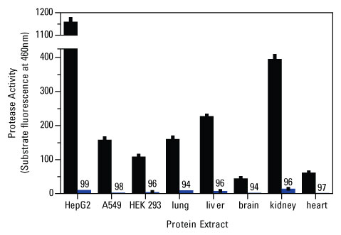 A12n04-Fig2 A12n04-Fig2