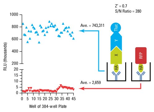 A14n10-Fig6 A14n10-Fig6
