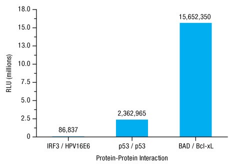 A14n10-Fig4 A14n10-Fig4