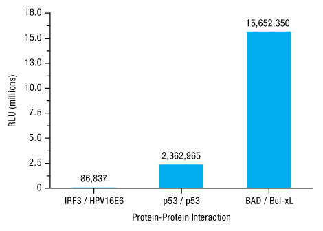 A14n10-Fig4 A14n10-Fig4
