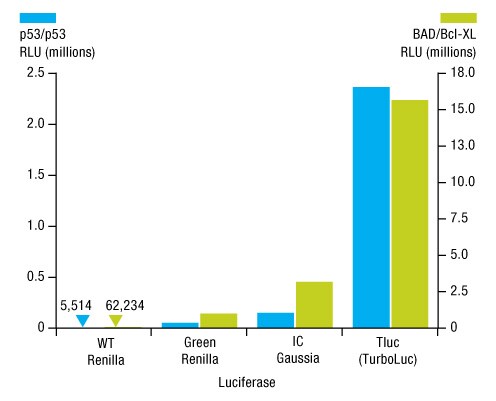 A14n10-Fig3 A14n10-Fig3