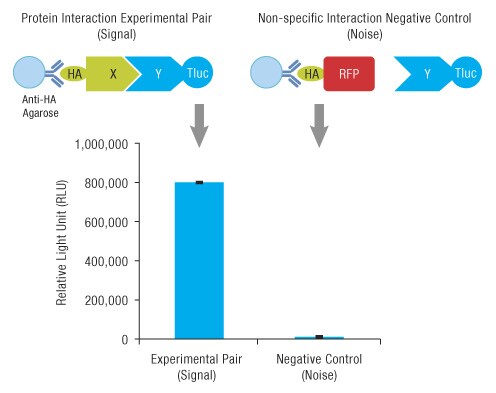 A14n10-Fig1-496px A14n10-Fig1-496px