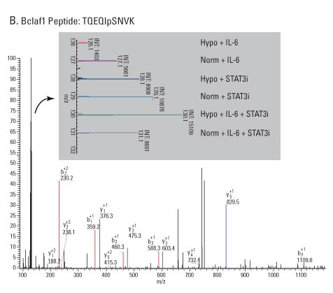 A12n15-Fig4b A12n15-Fig4b