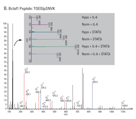 A12n15-Fig4b A12n15-Fig4b