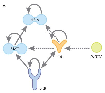 A12n15-Fig1a A12n15-Fig1a