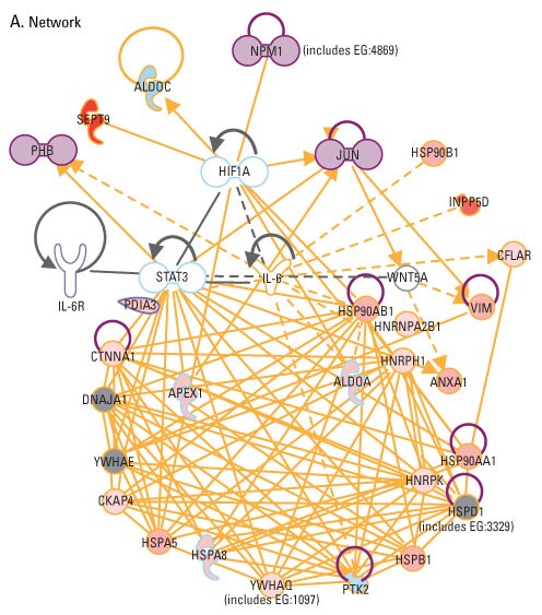 A12n15-Fig5a A12n15-Fig5a