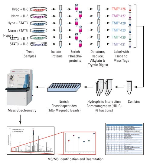A12n15-Fig2ab-workflow A12n15-Fig2ab-workflow