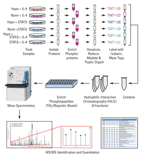 A12n15-Fig2ab-workflow A12n15-Fig2ab-workflow