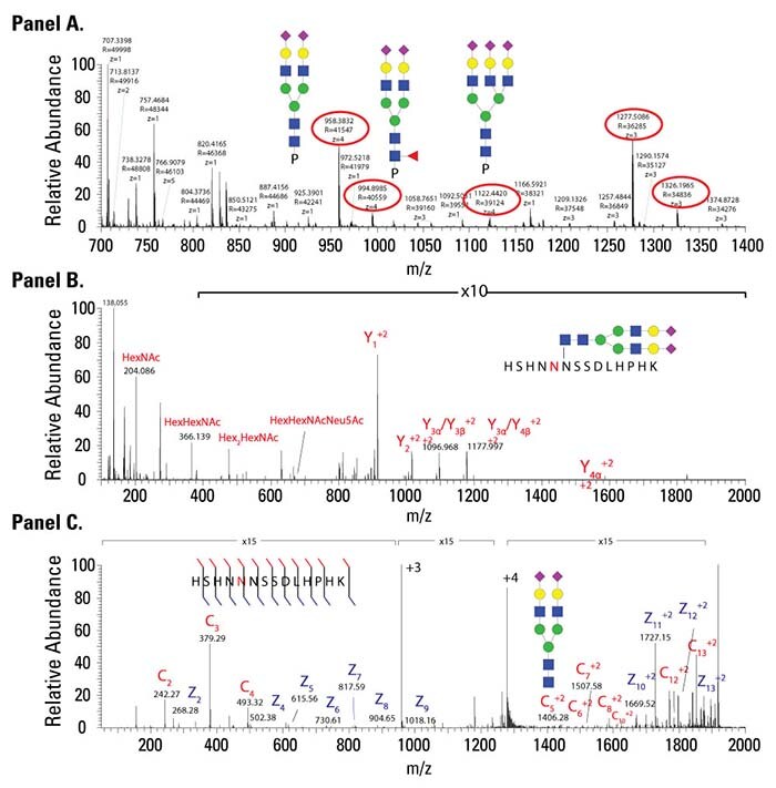 Identification of TiO2-enriched N-linked glycopeptide isoforms from histidine-rich glycoprotein in human serum Identification of TiO2-enriched N-linked glycopeptide isoforms from histidine-rich glycoprotein in human serum