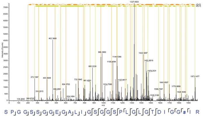 Mass spectrometry analysis of desthiobiotin Mass spectrometry analysis of desthiobiotin
